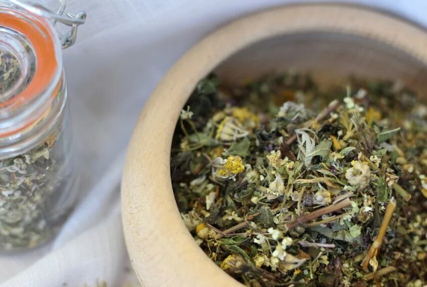 herbes médicinales pour traiter les champignons